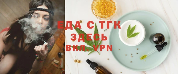 spice Богородск