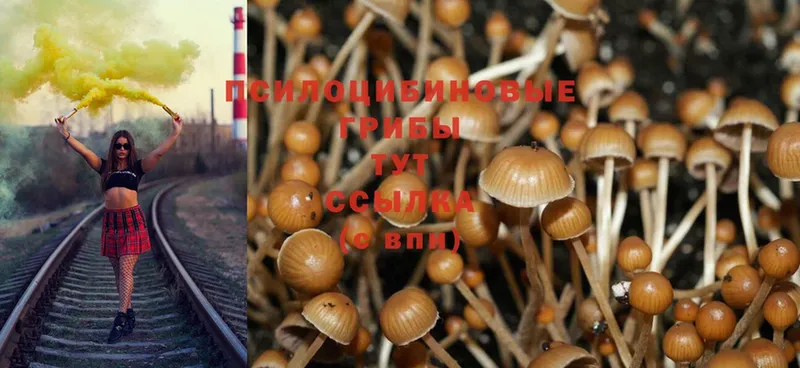 Псилоцибиновые грибы MAGIC MUSHROOMS  Лабытнанги 